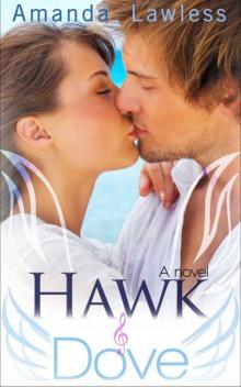 Hawk and Dove (Rock Star Romance Novel)