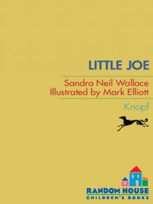 Little Joe