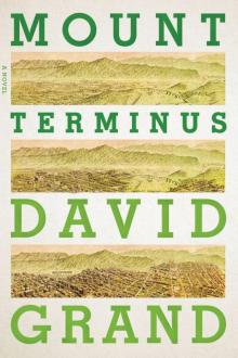 Mount Terminus: A Novel