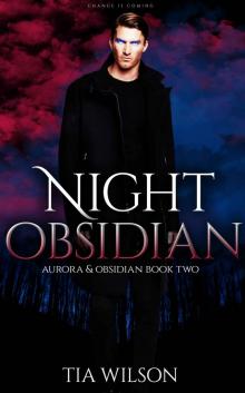 Night Obsidian (Aurora & Obsidian Book 2)