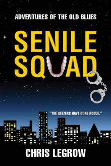 Senile Squad: Adventures of the Old Blues