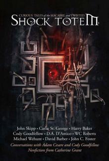 Shock Totem 8: Curious Tales of the Macabre and Twisted