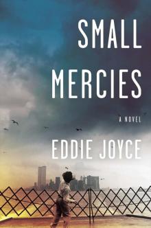 Small Mercies: A Novel