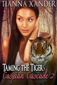 Taming The Tigers