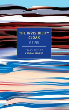 The Invisibility Cloak