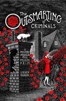 The Outsmarting of Criminals: A Mystery Introducing Miss Felicity Prim