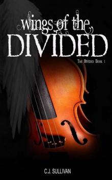 Wings of the Divided: The Divided Book 1