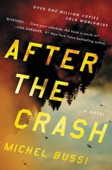 After the Crash: A Novel