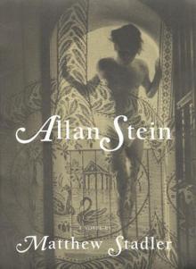 Allan Stein