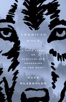 American Wolf