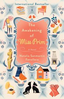 Awakening of Miss Prim