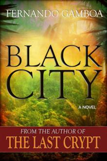 BLACK CITY (Ulysses Vidal Adventure Series Book 2)