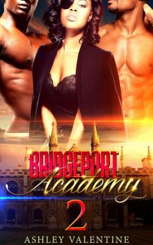 Bridgeport Academy #2