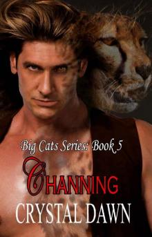 Channing_Big Cat Shifters Looking for Fated Mates