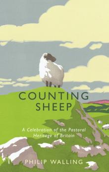 Counting Sheep