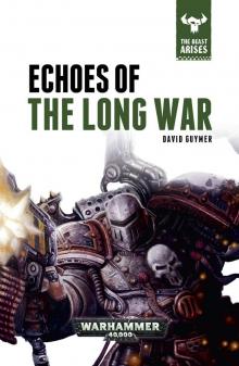 Echoes of the Long War