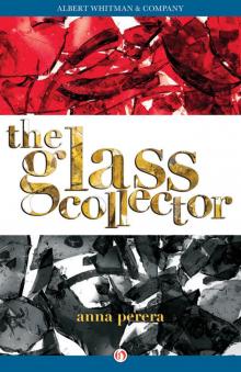 Glass Collector