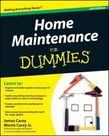 Home Maintenance For Dummies, 2nd Edition