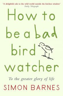 How to be a Bad Birdwatcher