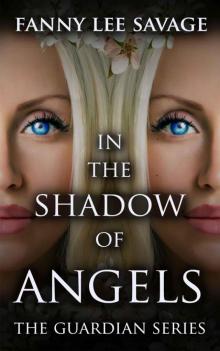 In the Shadow of Angels: The Guardian Series 1