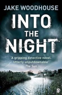 Into the Night: Inspector Rykel Book 2 (Amsterdam Quartet)