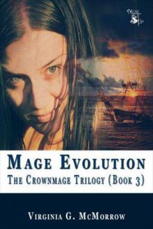 Mage Evolution (Book 3)