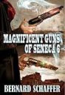 Magnificent Guns of Seneca 6