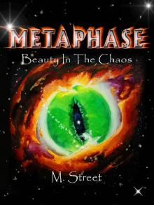 Metaphase: Beauty in the Chaos (Mitosis Series Book 2)