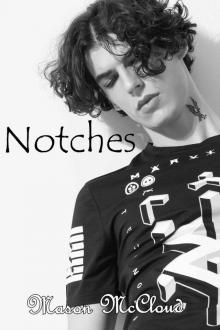 Notches