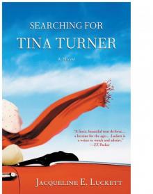 Searching for Tina Turner