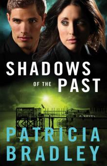 Shadows of the Past (Logan Point Book #1): A Novel