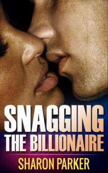 Snagging the Billionaire