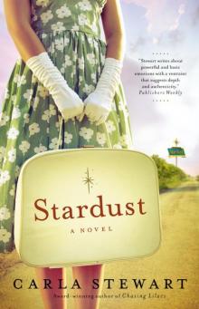 Stardust: A Novel