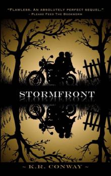 Stormfront (Undertow Book 2)