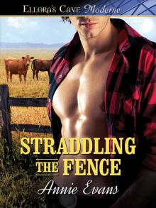 Straddling the Fence