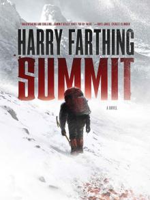 Summit: A Novel