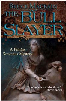 The Bull Slayer: A Plinius Secundus Mystery