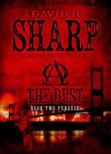 The Dust: Book Two - Pursuit