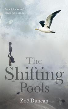 The Shifting Pools