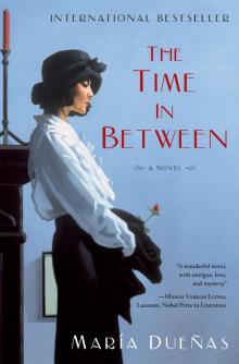 The Time in Between: A Novel