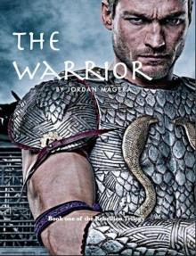 The Warrior (The Rebellion)