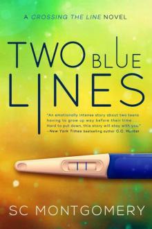 Two Blue Lines (Crossing The Line #1)