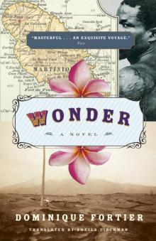 Wonder