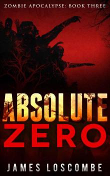 Zombie Apocalypse (Book 3): Absolute Zero