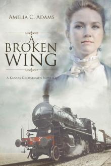 A Broken Wing (Kansas Crossroads)