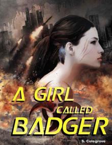 A Girl Called Badger (Valley of the Sleeping Birds)