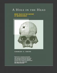 A Hole in the Head