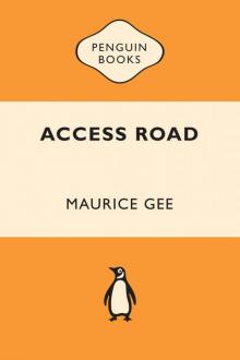 Access Road