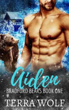 Aiden_A Fake Marriage Shifter Romance