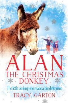 Alan the Christmas Donkey